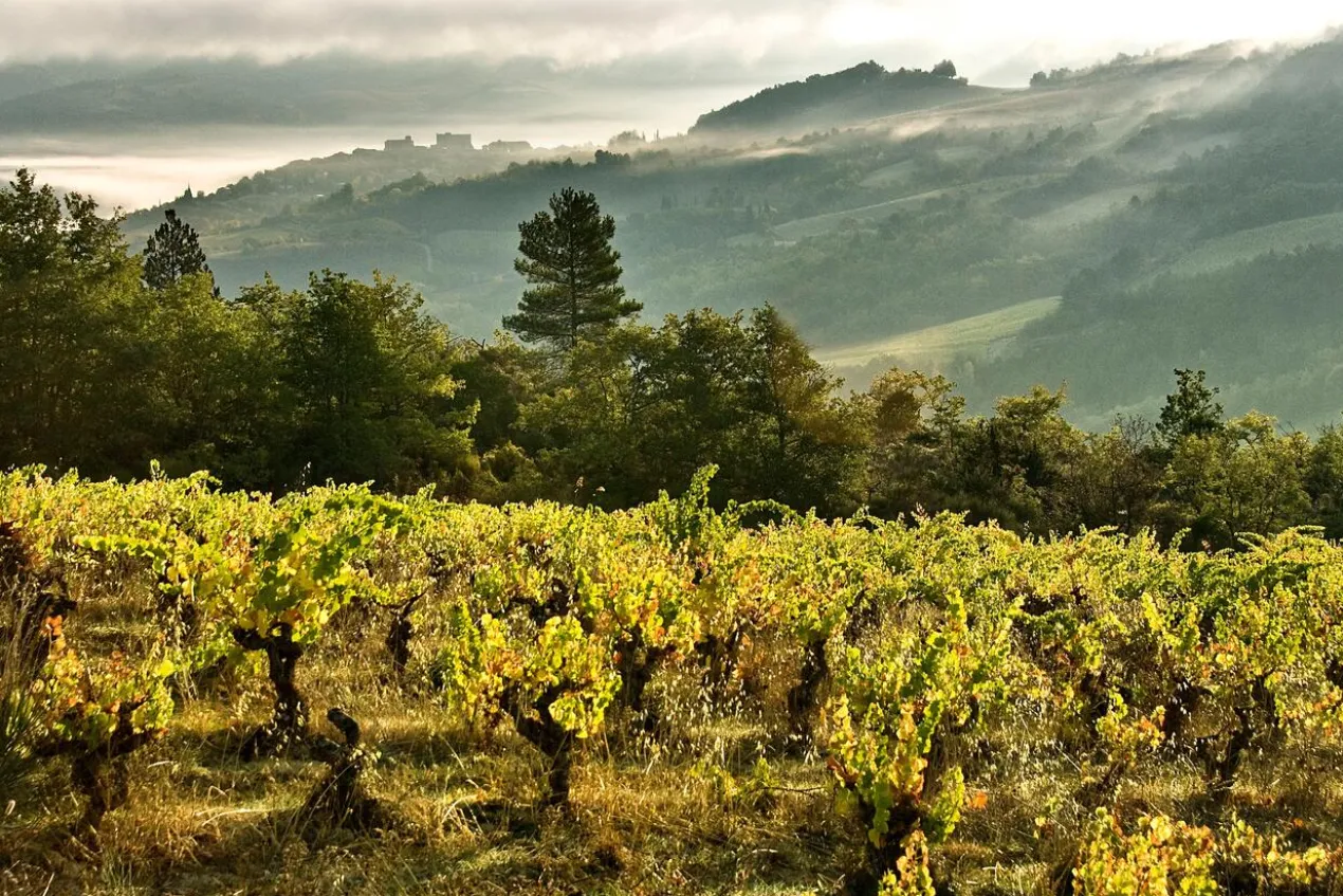 Aimery Demi Sec, Crémant de Limoux AOP, Frankreich
