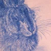 Albrecht Dürer (reeditiert) – Feldhase