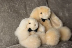 Alpaka-Hase