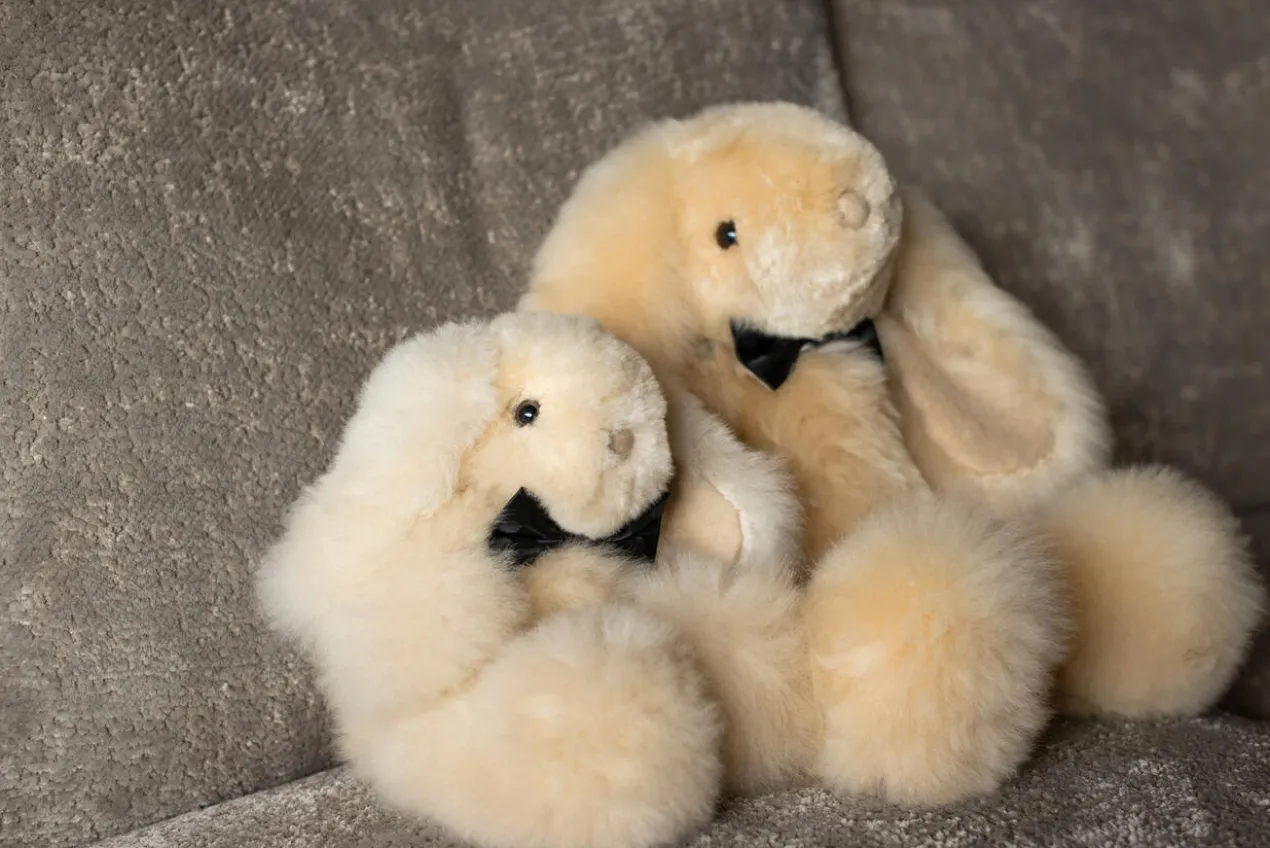 Alpaka-Hase