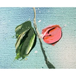 Anastassia Skopp – Summer Garden