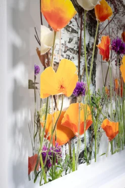 Andreas Lutherer – Birken im Goldmohn