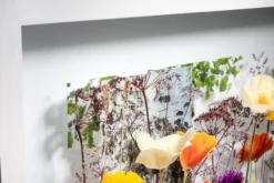 Andreas Lutherer – Birken im Goldmohn