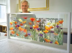 Andreas Lutherer – Birken im Goldmohn