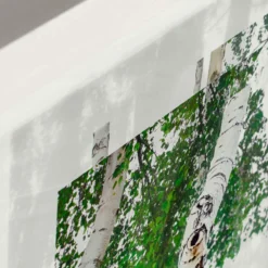 Andreas Lutherer – Kiefern-Birkenwald, 2020