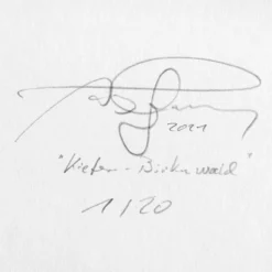 Andreas Lutherer – Kiefern-Birkenwald, 2020