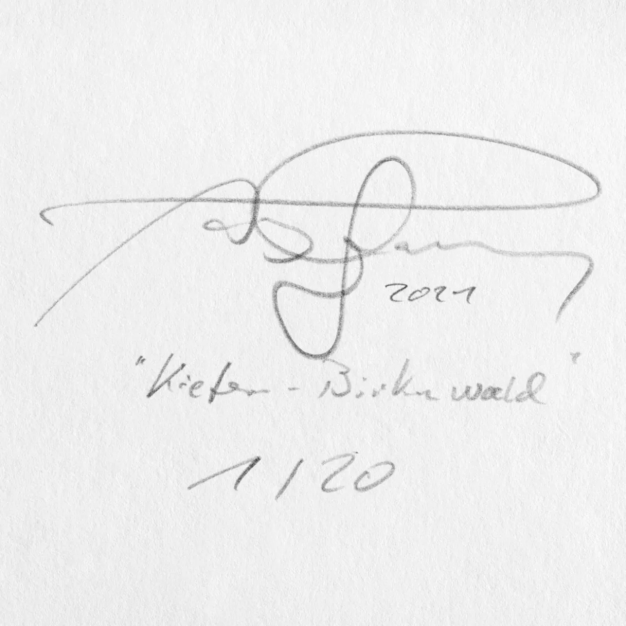 Andreas Lutherer – Kiefern-Birkenwald, 2020