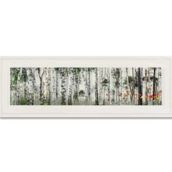 Andreas Lutherer – Kiefern-Birkenwald, 2020