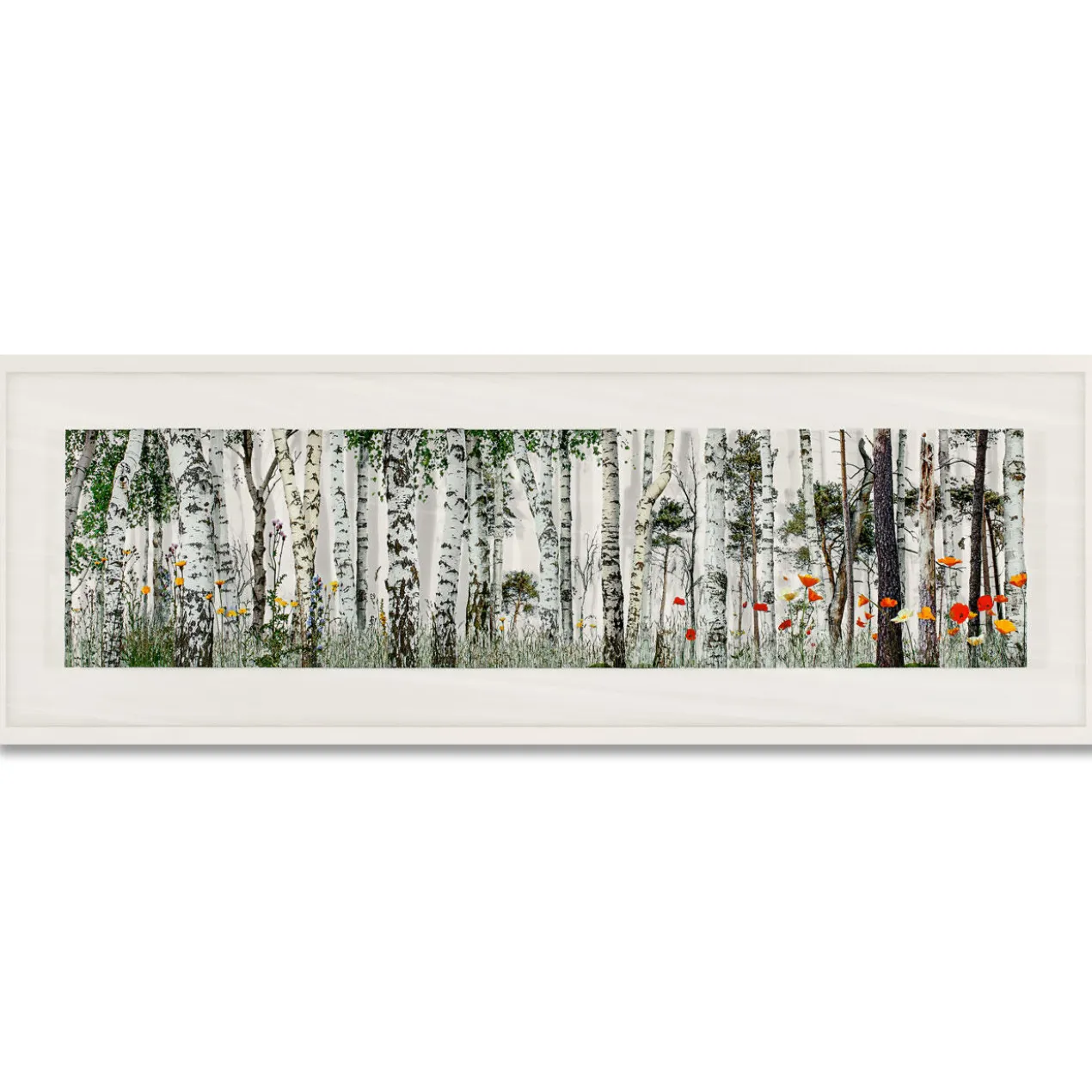 Andreas Lutherer – Kiefern-Birkenwald, 2020