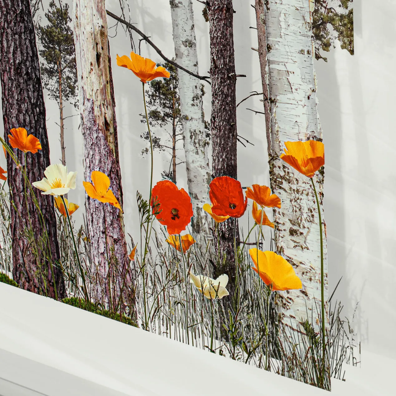 Andreas Lutherer – Kiefern-Birkenwald, 2020