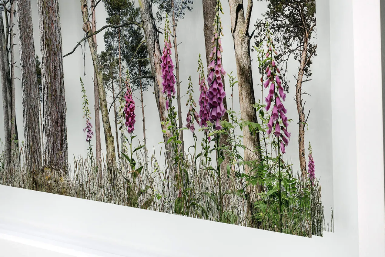 Andreas Lutherer – Kiefernwald, 2023