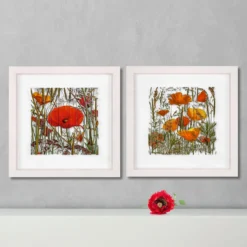 Andreas Lutherer – Mohn und Goldmohn