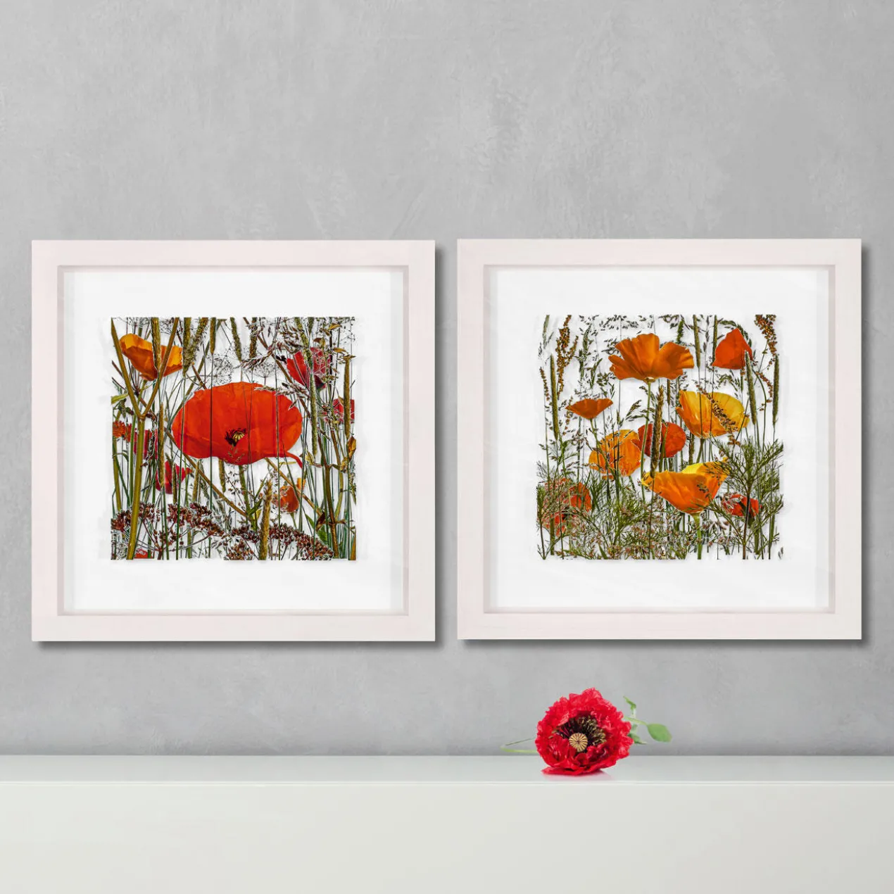 Andreas Lutherer – Mohn und Goldmohn