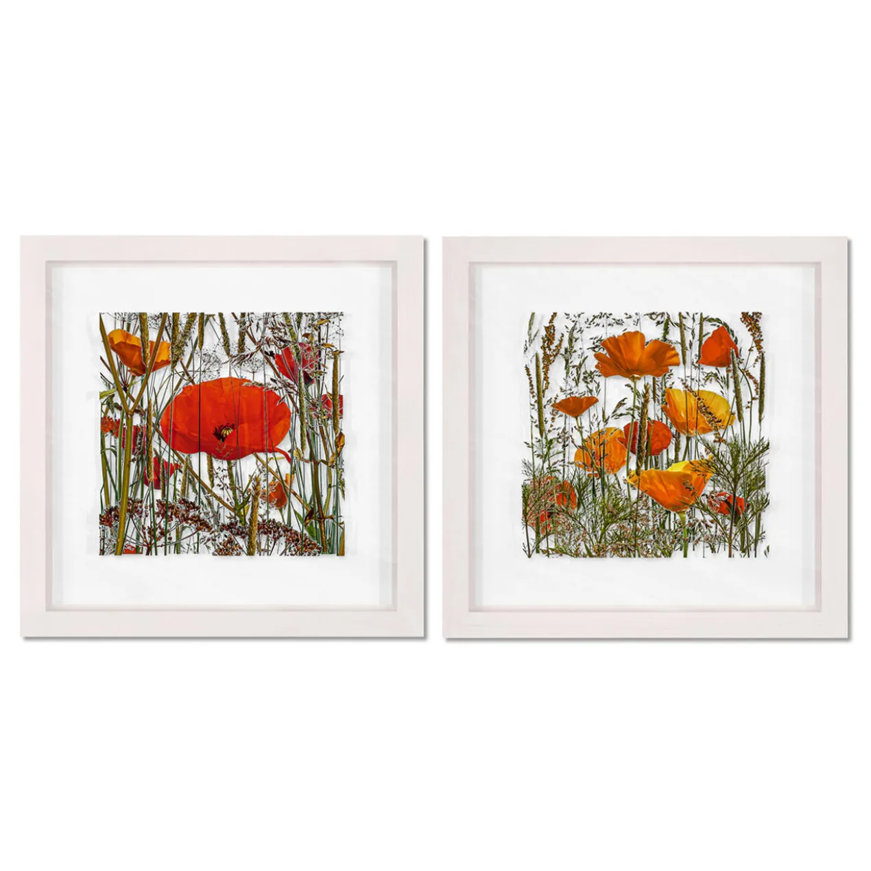 Andreas Lutherer – Mohn und Goldmohn