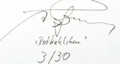 Andreas Lutherer – Rotkehlchen, 2022