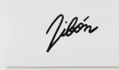 Andrés Ribón Troconis – Gesture of affection