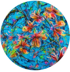 Armin Scheid – 02 Magnolia Sky