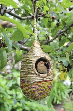 Artisan Vogelnest