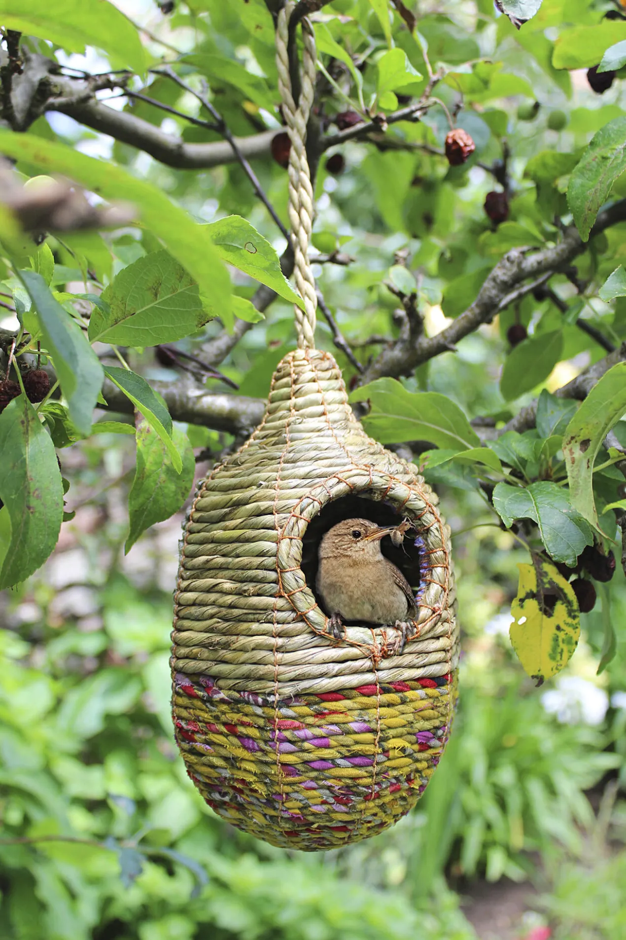 Artisan Vogelnest