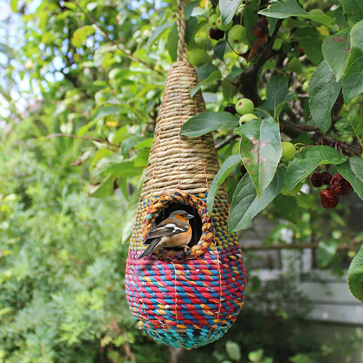Artisan Vogelnest