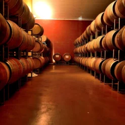 Barolo Patres, Piemont, Italien