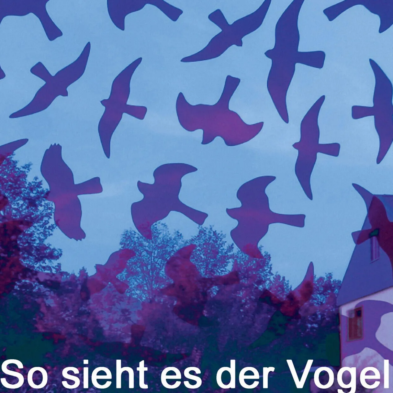 birdsticker®, 10er-Set