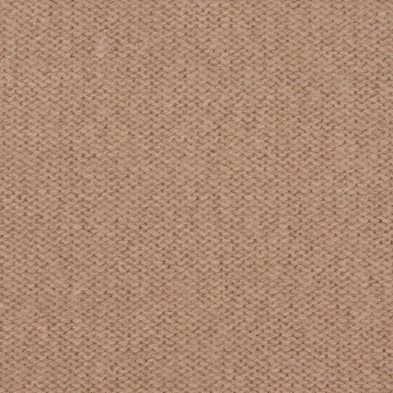 Boiled Cashmere Turtleneck