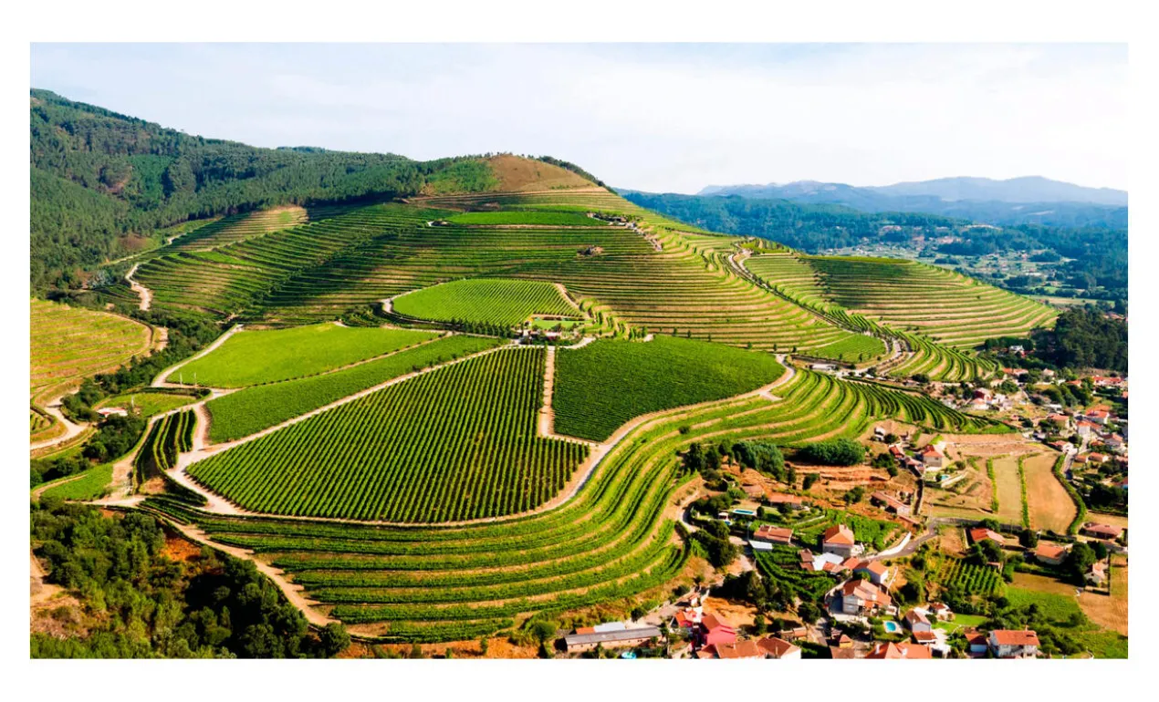 Caravaggio Bianco 2023, Cantine Romagnoli, Emilia Romagna, Italien