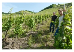 Carl Loewen Riesling Alte Reben 2024, Mosel, Deutschland