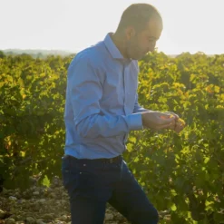 Cayrol 2023, Lafage, Roussillon, IGP, Frankreich