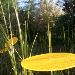 Cazador-del-sol® Sonnenfänger-Scheiben