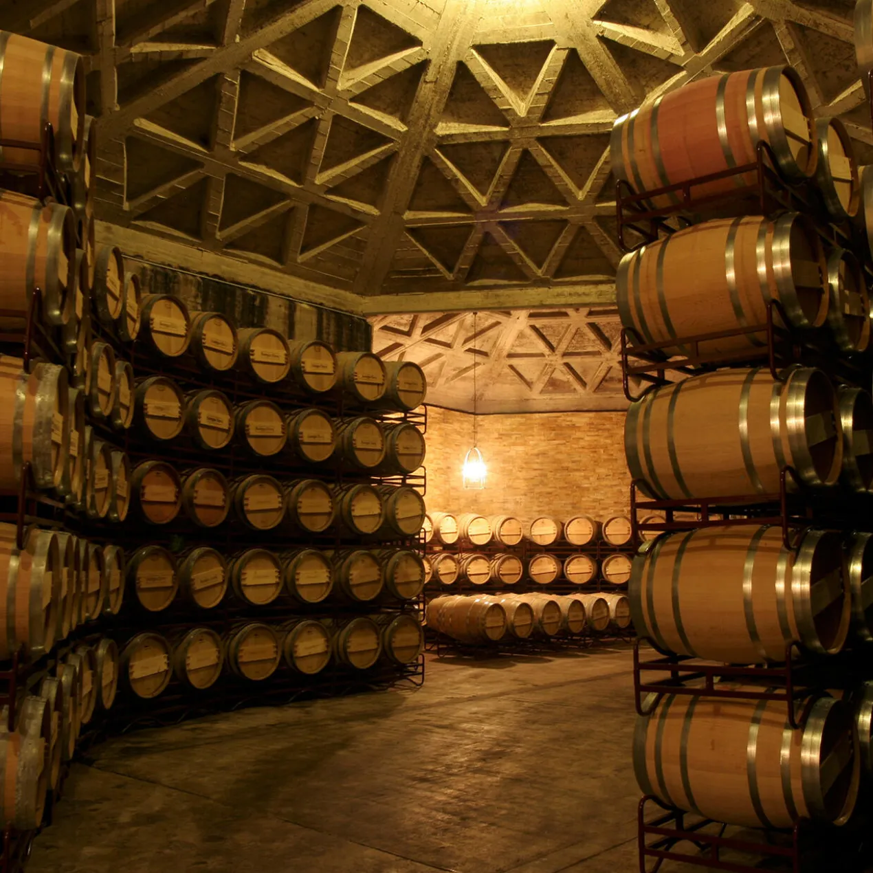 Cerro Añon Gran Reserva 2019, Bodegas Olarra, Rioja, Spanien