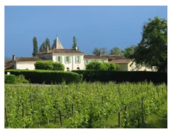 Château La Croix de Roche 2020, Bordeaux Supérieur, Frankreich