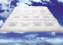 ClimaBalance Daunendecke