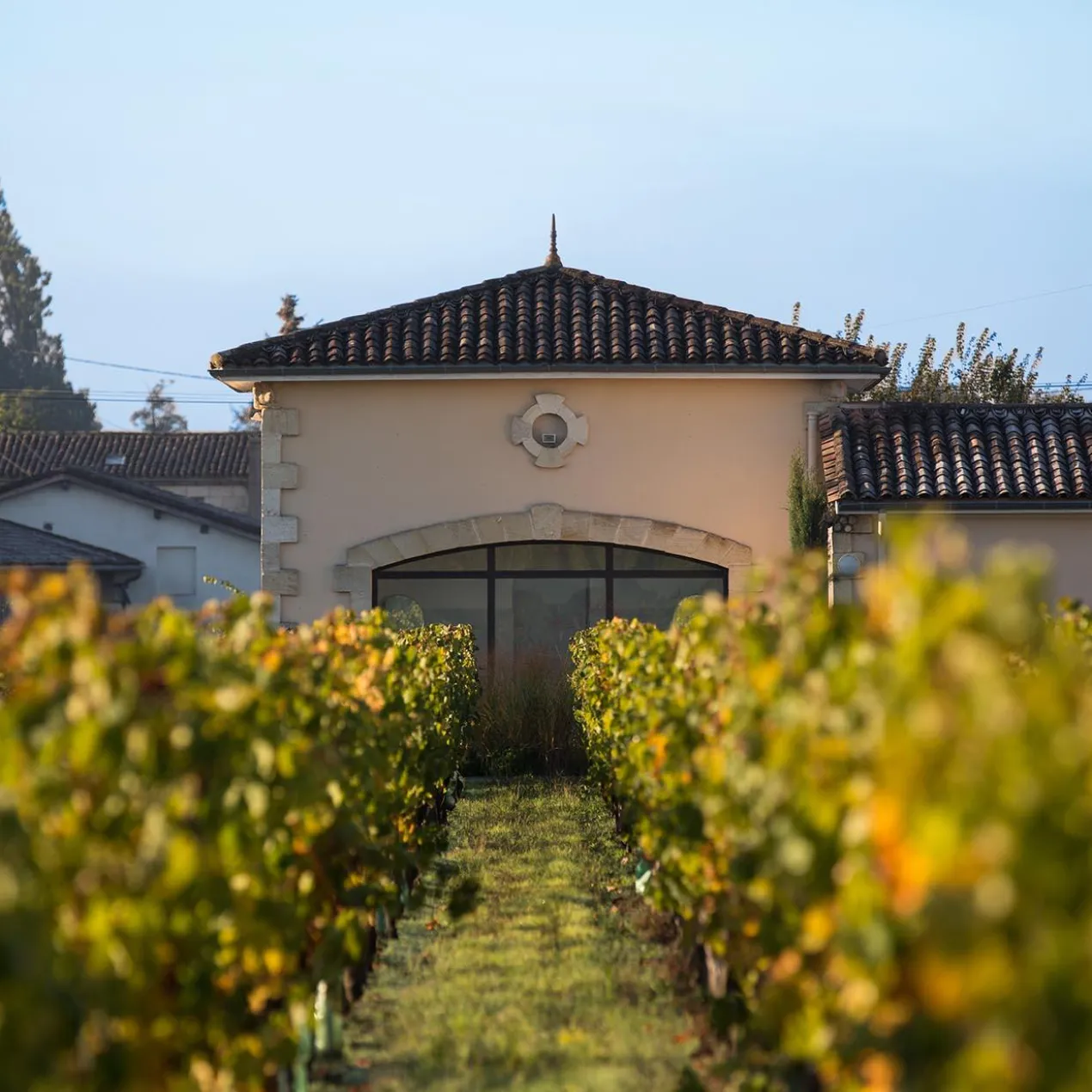 Clos Beauregard 2019, Pomerol, AOC, Frankreich