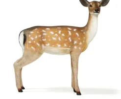 Damwildrudel