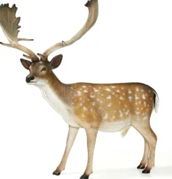 Damwildrudel