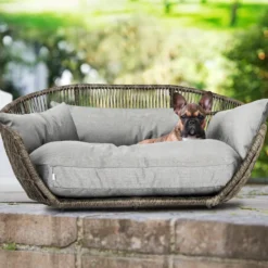 Design-Hundebett