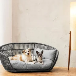 Design-Hundebett
