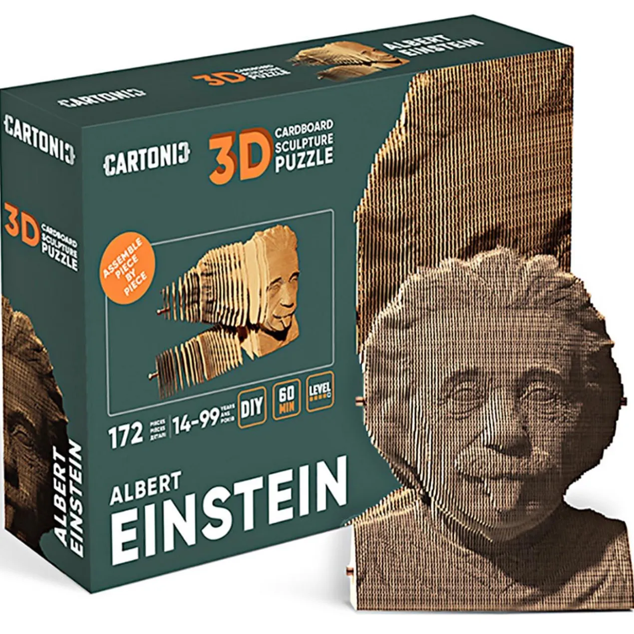3D Puzzle Pappe