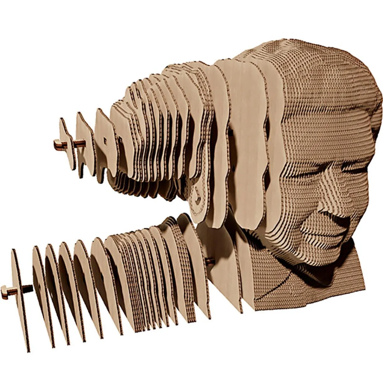 3D Puzzle Pappe