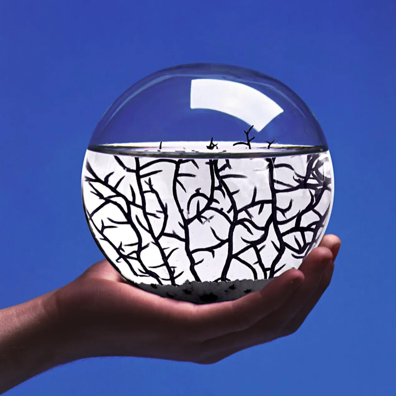Ecosphere®