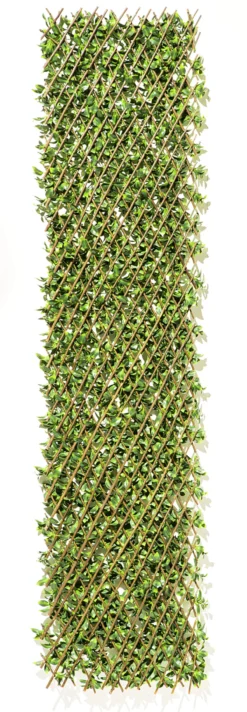 Flexible, immergrüne Pflanzenwand