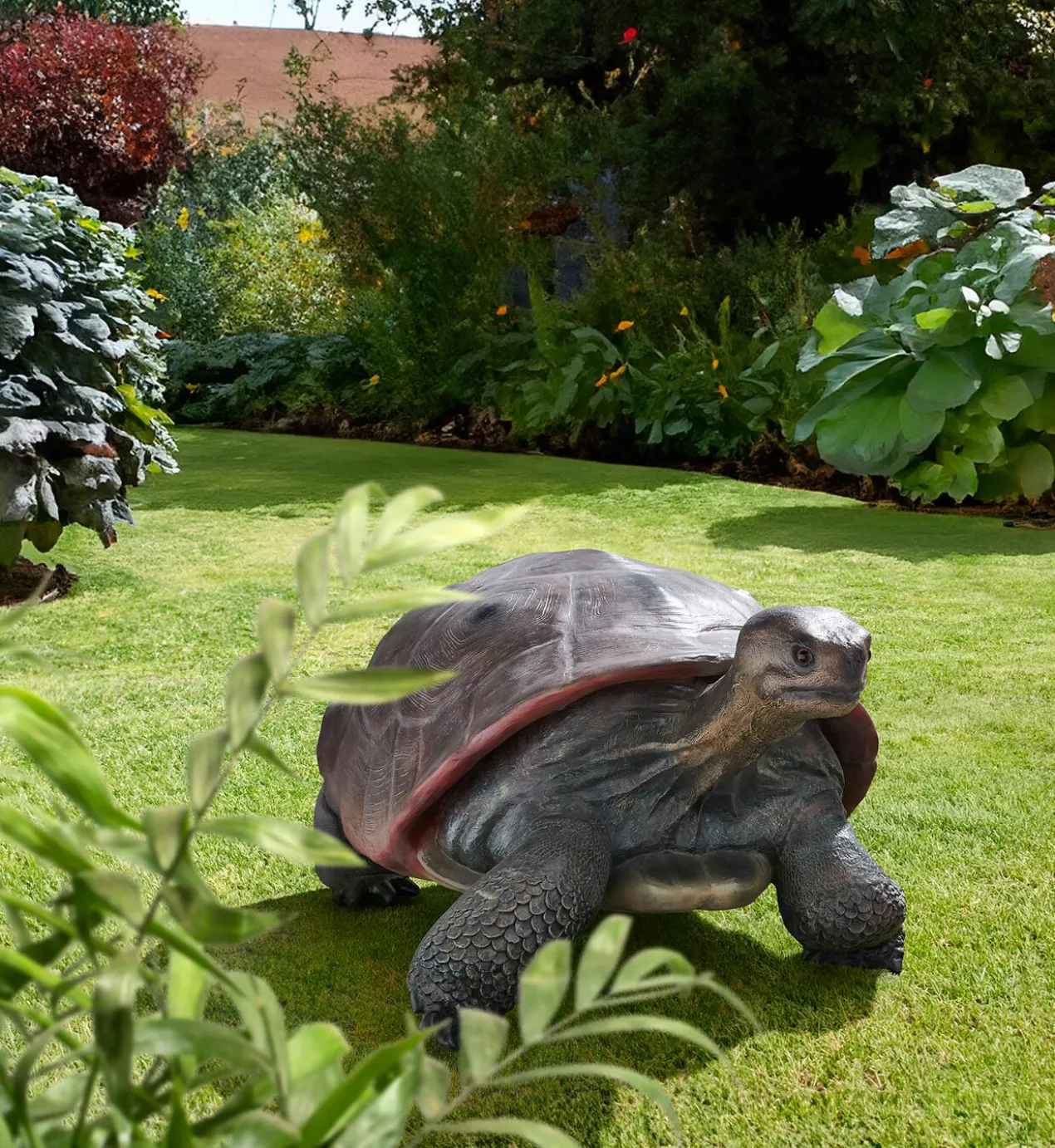 Galapagos Tortoise
