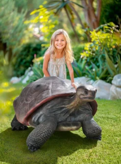 Galapagos Tortoise