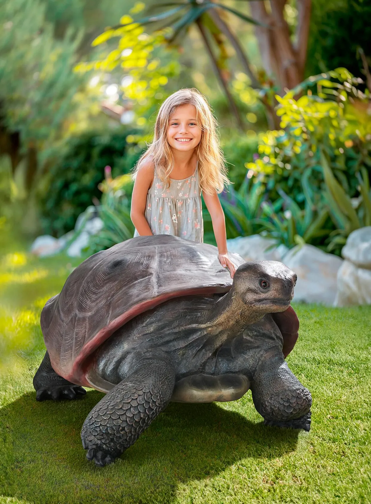Galapagos Tortoise