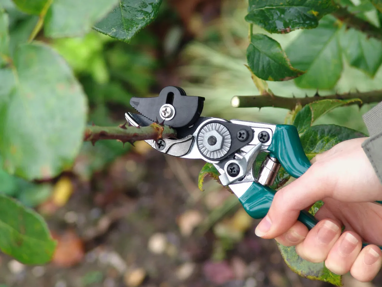 Gartenschere mit Festhaltefunktion