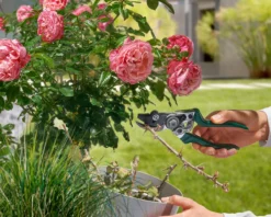 Gartenschere mit Festhaltefunktion
