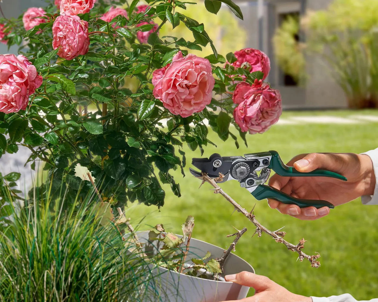 Gartenschere mit Festhaltefunktion