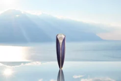 GEMO G10 Anti-Aging-Schönheitsgerät